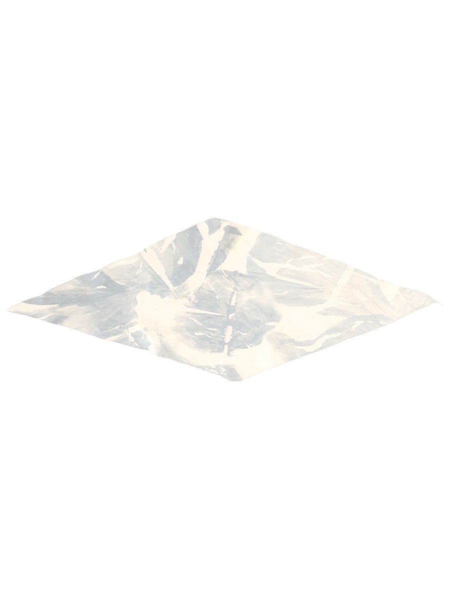 SILK SCARF